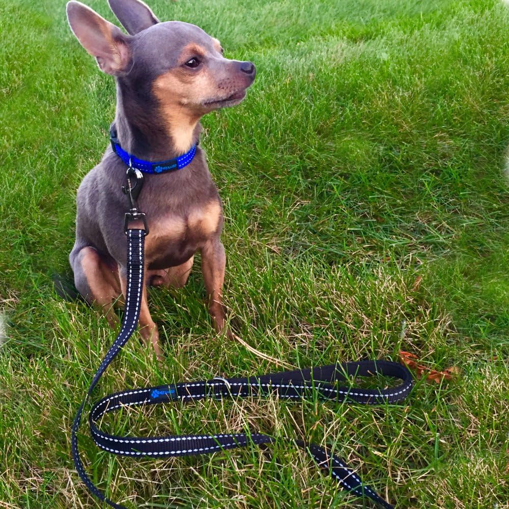 Small Dog Reflective Nylon Leash - Donate a Leash to Dog Rescue for Each Sold (Black, 4X5/8)