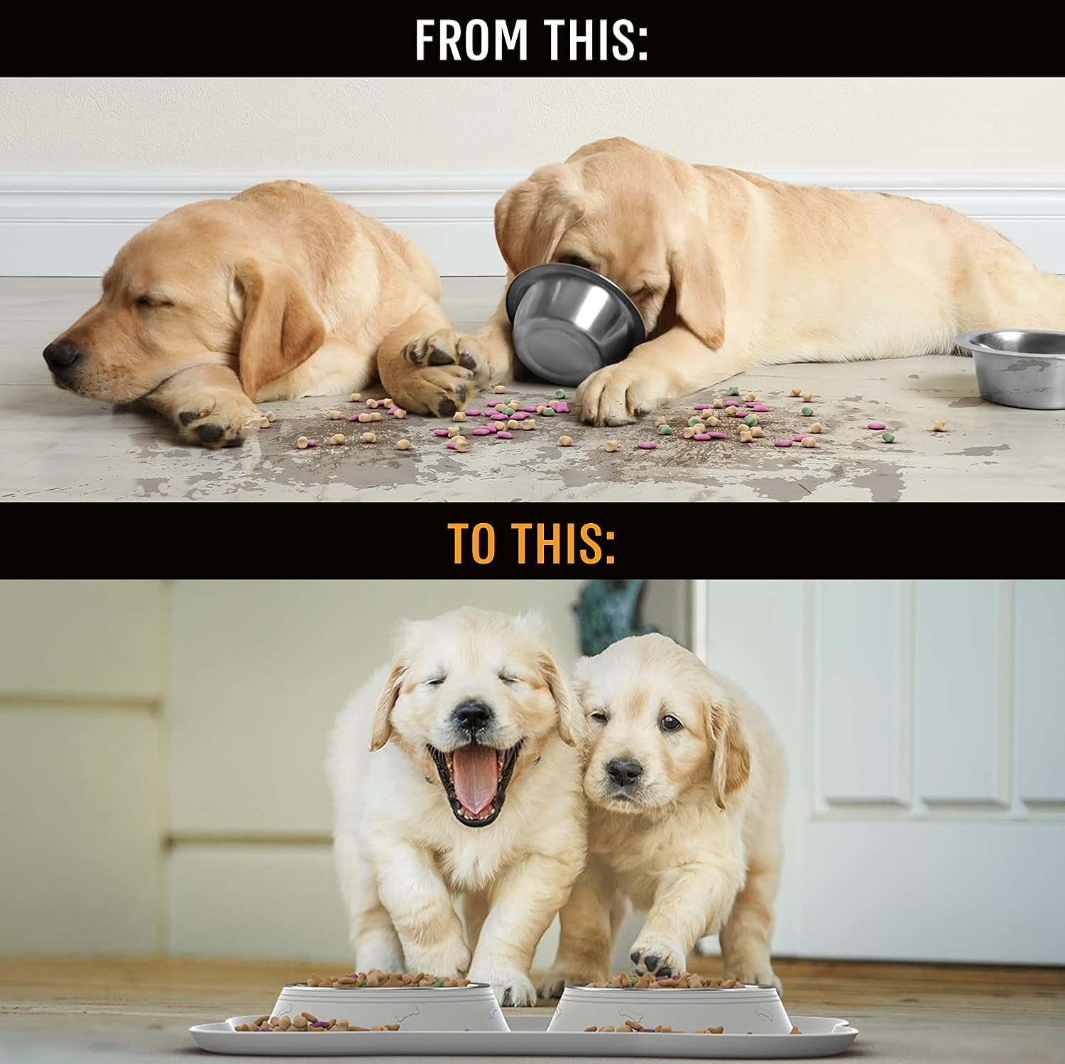 Dog Bowl Set, Stainless Steel No Spill Mess-Proof Food & Water Food Bowls with Skid Resistant Silicone Mat, Dog Bowls Small Size Dog, Medium, & Large, Pet Puppy Bowls & Dishes